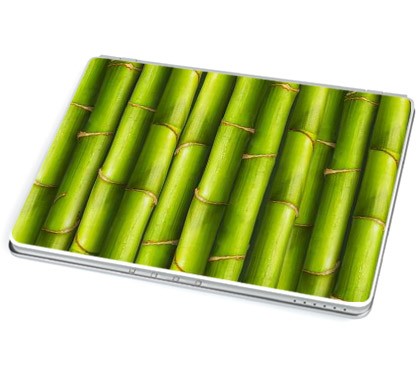 Bambus (Laptop-Aufkleber)